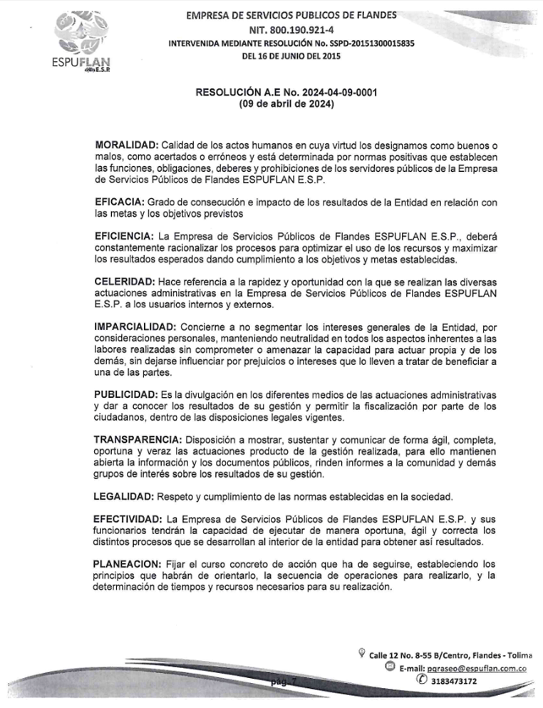 Imagen 6